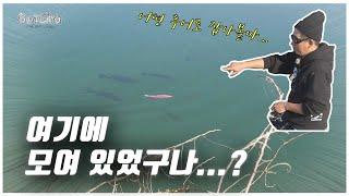어떤 루어로 배스를 꼬셔볼까... 행복한 고민??? [feat.박성완] ep.45_korea bass