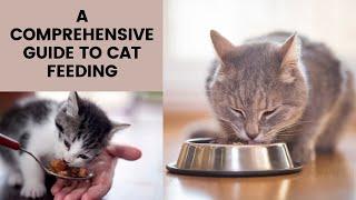 Purr-fect Nutrition: The Ultimate Guide to Feeding Your Cat | A Comprehensive Guide to Cat Feeding