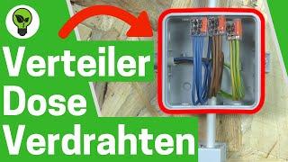 Verteilerdose Verdrahten  ULTIMATIVE ANLEITUNG: Wie Abzweigdose Richtig mit Klemmen Anschließen???