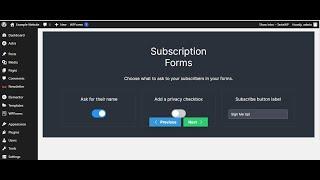 Creating and Sending Newsletter in WordPress (Full Tutorial)