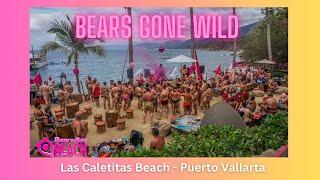 Exclusive, Secluded Beach for Bearadise Bears Gone Wild