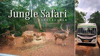 Nandankanan Jungle Safari | ODISHA |