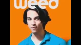 You wanted to smoke weed and now you're a wetard  TRUTH AD MEME