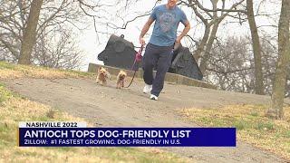 Antioch named No. 1 fastest-growing pet-friendly community in the U.S.