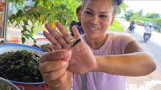 CAMBODIA TRIP Roadside Food Eating Fried Crickets And Other Insects | Khmer USA Vlog