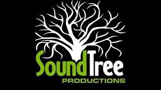 Soundtree Promotional Video