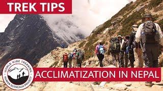 How to Acclimatize to High Altitude at Everest Base Camp | Trek Tips