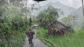 Super heavy rain in beautiful village life 3 hours, walking in heavy rain, rain sounds for sleeping