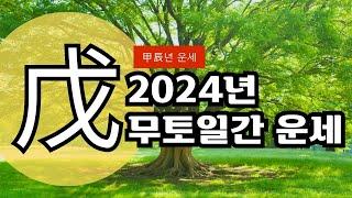 갑진년 2024년 무토일간 운세