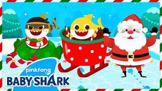 Baby Shark's Christmas Sled Race! Who will Win? | +Compilation | Happy Holidays |Baby Shark Official