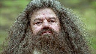 Why Hollywood Stopped Casting The Actor Who Played Hagrid