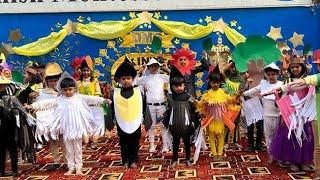 Birds Song Performance. | Danish Montessori School |DMS| KotAddu.