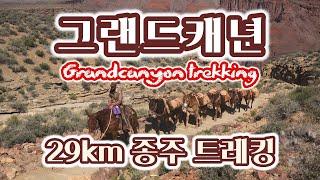 그랜드캐년/앤텔로프캐년 /Grand canyon trekking - 평생에 한번은 가봐야 할 Best 1위 트레킹코스