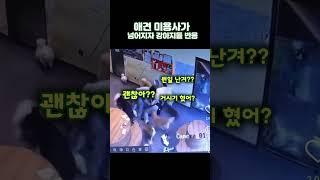 애견 미용사가 넘어지자 강아지들 반응