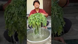Aaj moringa leaves dhoke sukhaye #minivlog #dailyminivlog #minivlogseries #familyvlog #familyfun