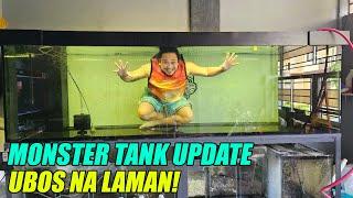 Monster Tank Update - Huling Babad Sa 675 Gallons