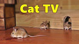 Cat TV ~ Mice in The Jerry Mouse Hole  8 HOURS  Videos for Cats