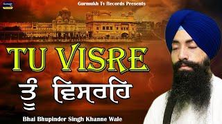 Tu Visre | ਤੂੰ ਵਿਸਰਹਿ | Gurbani Shabad | Bhai Bhupinder Singh Khanne Wale| Heart Touching| Peaceful