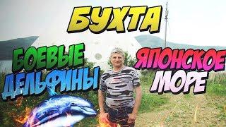 Бухта Витязь, Боевые дельфины и Чёрный пляж