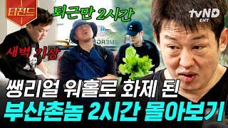 [#부산촌놈in시드니] (2시간) 마! 이게 바로 진짜 호주 워홀이다! 비자부터 일자리까지ㄷㄷ 정말로 리얼인 부산촌놈들의 워홀 도전기 전~부 보여드림 | #티전드