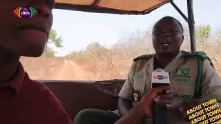 About Town: An exciting safari experience in the Mole National park with Caleb Kudah  (Part 1)