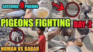 Pigeons Fighitng Loft Babar VS Noman 100 Kabooter Larrayya 9 Kabootar Pakray Catching Pigeons DAY-2