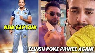 Prince Narula Playing Cricket | Elvish Yadav Roast Prince Narula Again