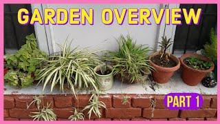 Garden Overview September Major Changes  PART 1 / Winter Preparations [ Nature Desires ]