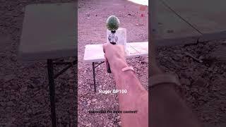 .357 mag vs watermelon (  ) 