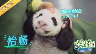 GrowUp! Panda | 怡畅宝宝满月啦~ 长成了软软的糯米团子 #成长吧大熊猫