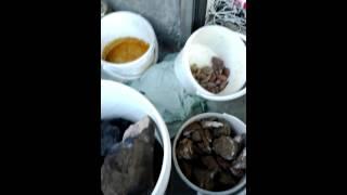 Broken Ox Creations- Summer Trips BC 2015