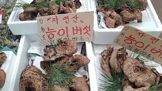 23.9.22정선5일 장날입니다  ~ #능이#싸리#고추부각.고사리.건나물