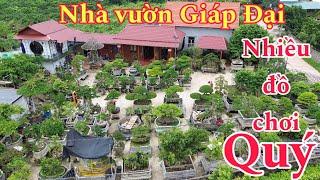 KHÔNG GIAN TUYỆT ĐẸP ! của nhà vườn GIÁP ĐẠI chia sẻ đến quý vị và các bạn