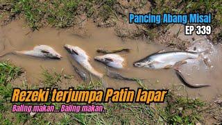 Gasak ikan patin bersama Geng petik menyala