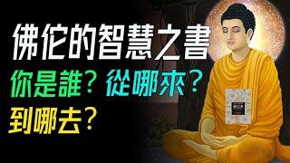 《悉達多》裡的智慧之光，佛佗的智慧之書。你是誰？從哪來？到哪去？     說書《悉達多》解讀  #佛教智慧 #無我思想 #生命輪迴 #業力 #涅槃 #生死解脫 #自我認知  #河流覺悟 #因果輪回