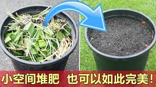 花盆也能堆出完美的肥 | 科学堆肥原理 How to make perfect pot compost