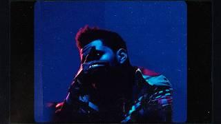 [FREE] THE WEEKND Type Beat x DARK RNB Type Beat - Dark Times