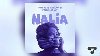 Spack  & Tundaman ft Professor Jay - NALIA (Official Music Audio)