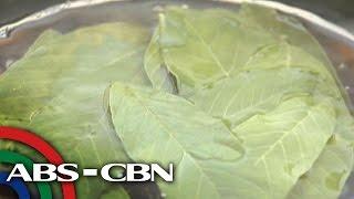 Salamat Dok: Health benefits of Guava Leaves | Cura Mula sa Nature