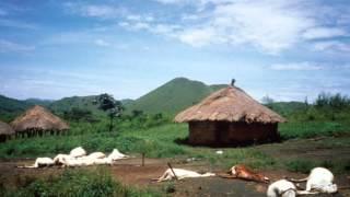 The Lake Nyos Disaster