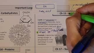 Introduction to lipids