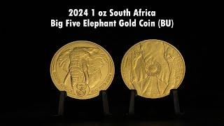 Shine Bright: 2024 1 oz South Africa Big Five Elephant Gold Coin Showcase