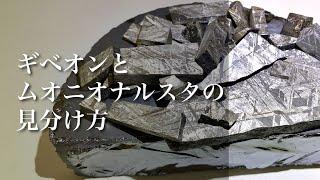 【偽物ギベオン撃退】ギベオンとムオニオナルスタの見分け方