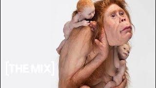 Patricia Piccinini's hyperrealist sculptures