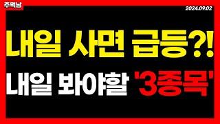 내일 사면 수익? 이 '3가지 종목' 크게 갑니다. 테마주 급등주 주식추천 신규상장주 전고체관련주 2차전지관련주 제약 바이오관련주 STO관련주 주가전망 목표가