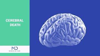 Cerebral Death - Symptoms Diagnosis and Treatment - @mdmedicine.network