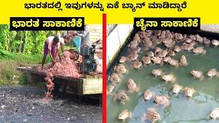 unbelievable farming in the world || Mysteries For you Kannada