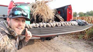 I love Nebraska | 3 DIFFERENT Dove SPECIES!