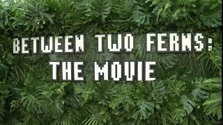 Between Two Ferns: The Movie Special Screening Atmosphere B-Roll || #SocialNews.XYZ