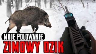 Polowanie z psem na dziki #2